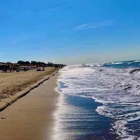 Secret View Elviria *